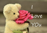 teddy bear